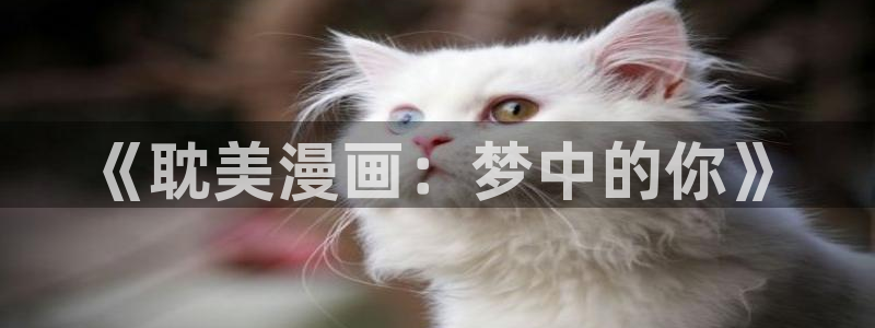 漫画岛现在改名叫什么了