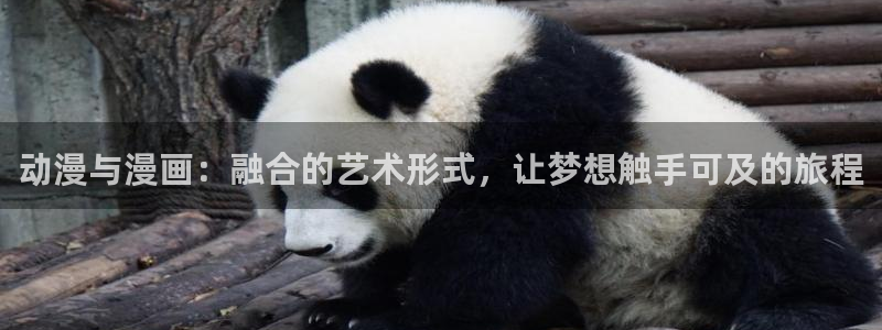 漫画岛app官方应用下载