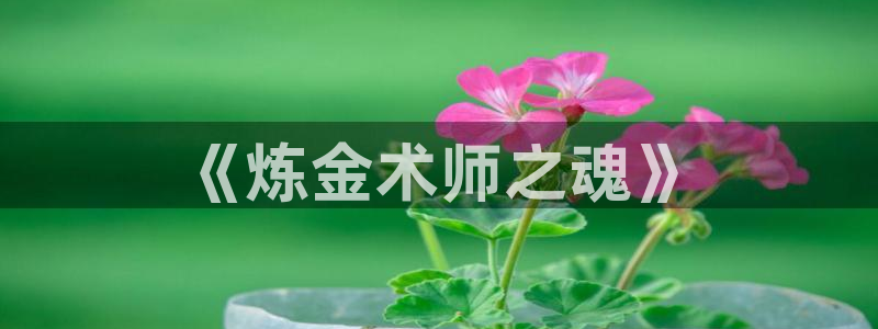 漫画岛下载官方免费