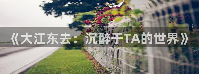 漫画岛官网：《大江东去：沉醉于TA的世界》